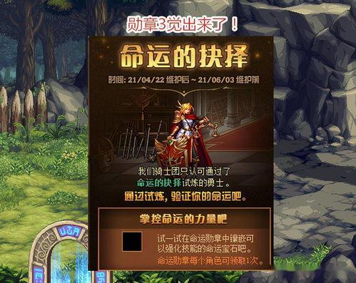 最新勋章服装爆料,荣耀与风采的完美融合