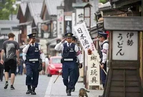 日本警察理事官,职责与挑战