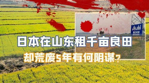 良田日本,农业奇迹背后的秘密