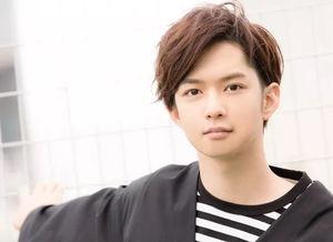 王子殿下 日本,日本宫廷传奇的浪漫篇章