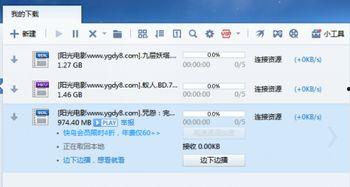 10岁av迅雷下载地址,揭秘网络非法内容的传播与危害