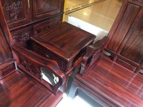 红木林视频,探寻红木林的古老韵味与自然奇观