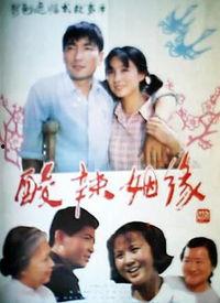 电影酸辣姻缘在线观看,一场别开生面的爱情盛宴