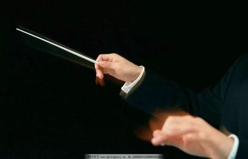 怎样学指挥视频,跟随视频学习指挥技巧解析