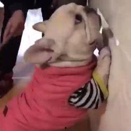 犯错被老公打pp,犯错后的甜蜜“教训”