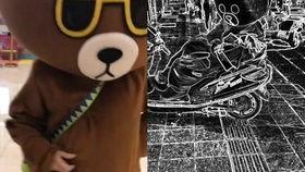 网红熊吃瓜,揭秘娱乐圈幕后真相