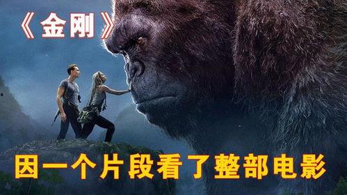 金刚电影西瓜免费观看