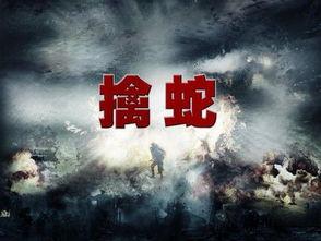 擒蛇第40集在线观看,揭秘蛇影重重背后的惊天阴谋